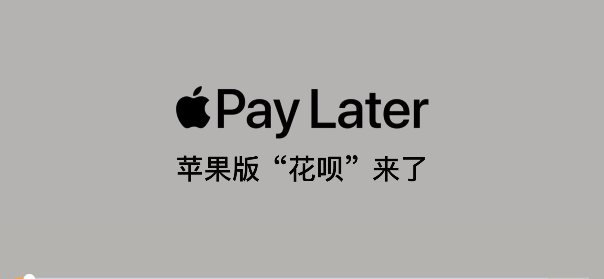 Apple Pay推出“花呗”类产品